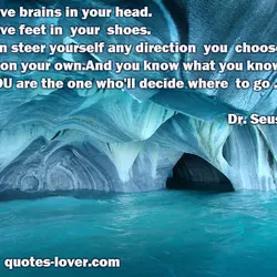 You have brains in your head. You have feet in your shoes. You can steer...