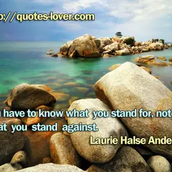 You have to know what you stand for, not just what you stand against.