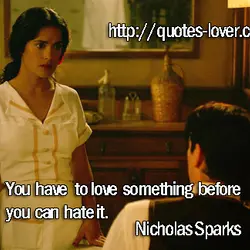 You have to love something before you can hate it.