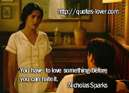 You have to love something before you can hate it.