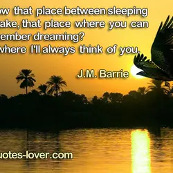 You know that place between sleeping and awake, that place where you can still remember...