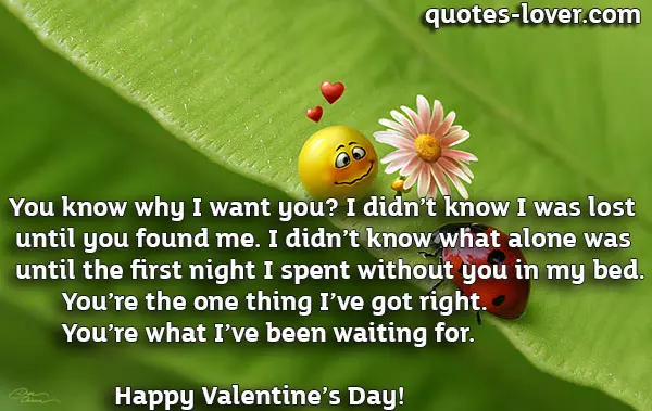 You know why I want you? I didn’t know I was lost  until you found me. I didn’t know what alone was until the first night I spent without you in my bed. You’re the one thing I’ve got right. You’re what I’ve been waiting for. Happy Valentine’s Day!