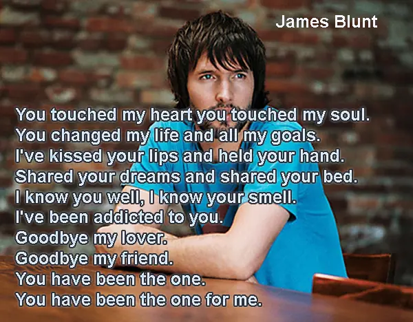 You touched my heart you  touched my soul.You changed my life and all my goals. I've kissed your lips and held your hand. Shared your dreams and shared your bed. I know you well, I know your smell.I've been addicted to you. Goodbye my lover. Goodbye my friend. You have been the one. You have been the one for me. 