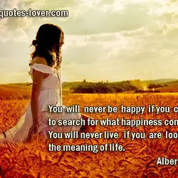 You will never be happy if you continue to search for what happiness consists of....