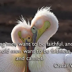 Young men want to be faithful, and are not; old men want to be faithless,...