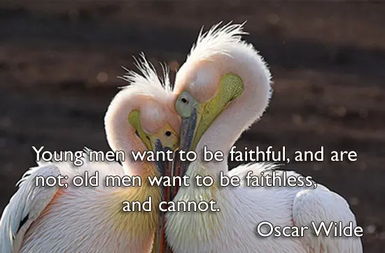 Young men want to be faithful, and are not; old men want to be faithless, and cannot.