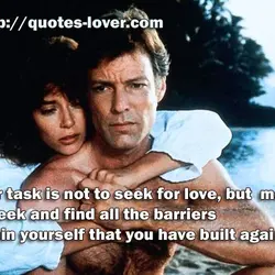 Your task is not to seek for love, but merely to seek and find all...