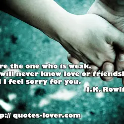 You're the one who is weak. You will never know love or friendship. And I...