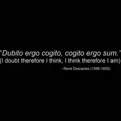 I doubt therefore I think, I think therefore I am