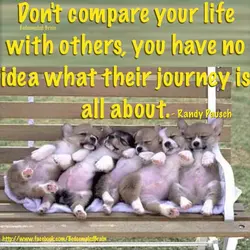 Don't compare your life with others, you have no idea what their journey is all...