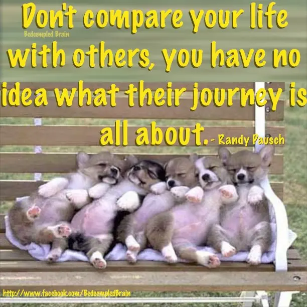 Don't compare your life with others, you have no idea what their journey is all about