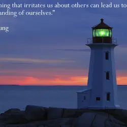 Everything that irritates us about others can lead us to an understanding of ourselves