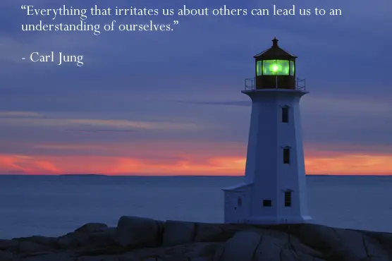 Everything that irritates us about others can lead us to an understanding of ourselves