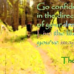 Go confidently in the direction of your dreams! Live the life you've imagined