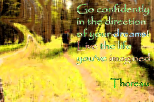 Go confidently in the direction of your dreams! Live the life you've imagined