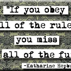 If you obey all the rules, you miss all the fun