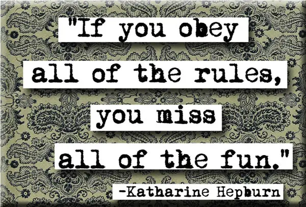 If you obey all the rules, you miss all the fun