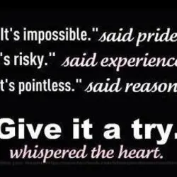 It's impossible said pride it's risky said experience it's pointless said reason give it a...