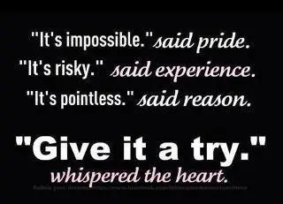 It's impossible said pride it's risky said experience it's pointless said reason give it a try whispered the heart