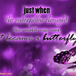 just when the caterpillar thought the world was over, it became a butterfly.