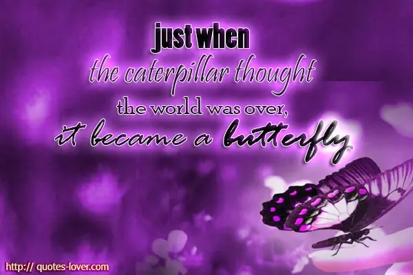 just when the caterpillar thought the world was over, it became a butterfly.