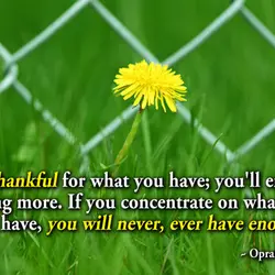 Be thankful for what you have; you'll end up having more.If you concentrate on what...