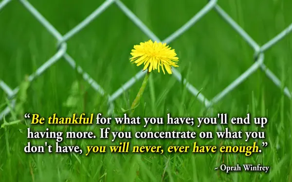 Be thankful for what you have; you'll end up having more.If you concentrate on what you don't have, you will never, ever have enough.