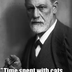 Time spent with cats is never wasted
