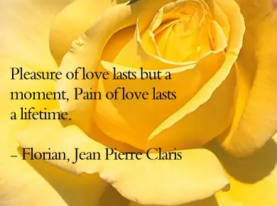 Pleasure of love lasts but a moment, pain of love lasts a lifetime