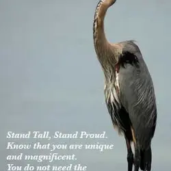 Stand Tall, Stand Proud know that you are unique and magnificent. You dont need the...