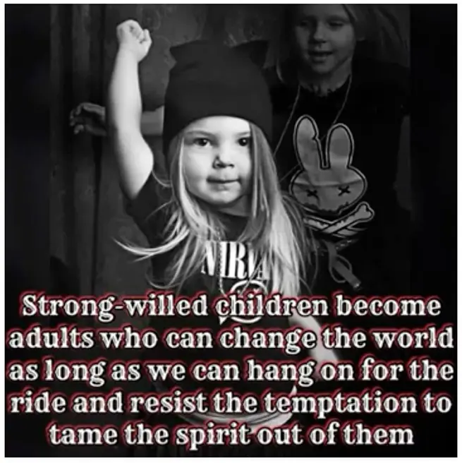 Strong-willed children become adults who can change the world as long as we can hang on for the ride and resist the temptation to tame the spirit out of them