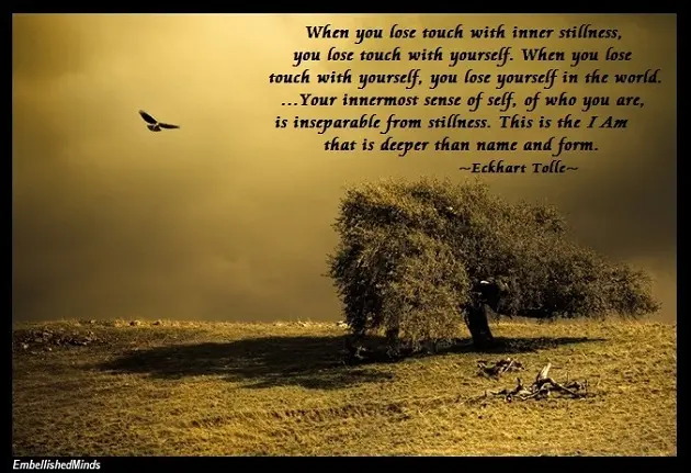When you lose touch with inner stillness, you lose touch with yourself